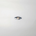 wet-s-foto002.jpg