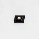 Nixe 1×1 IN Spot 2,1W Deckeneinbaustrahler